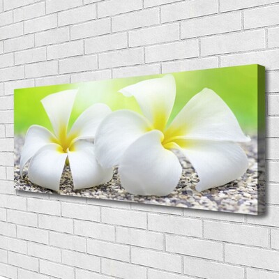 Canvas print Flowers floral white