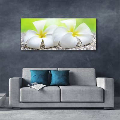 Canvas print Flowers floral white