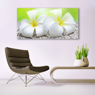 Canvas print Flowers floral white