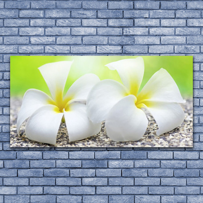 Canvas print Flowers floral white