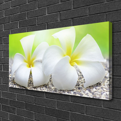 Canvas print Flowers floral white