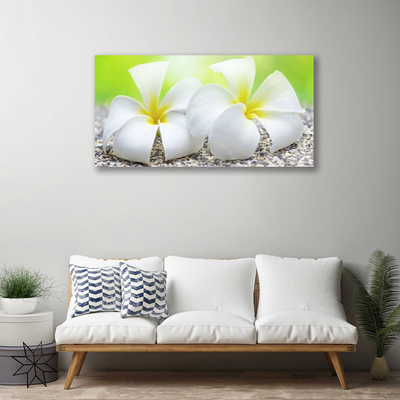 Canvas print Flowers floral white