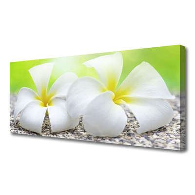 Canvas print Flowers floral white