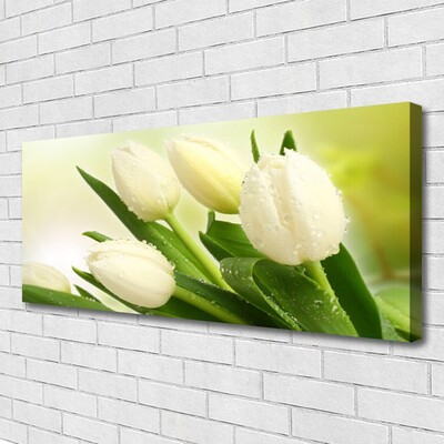 Canvas print Tulips floral white green