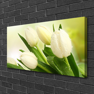 Canvas print Tulips floral white green