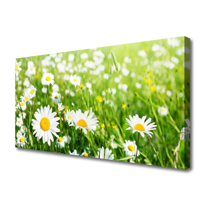 Canvas print Daisy floral white yellow green