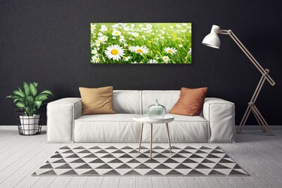 Canvas print Daisy floral white yellow green