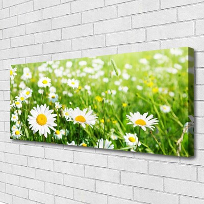 Canvas print Daisy floral white yellow green