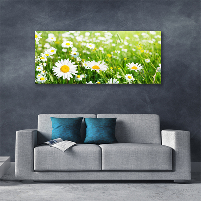 Canvas print Daisy floral white yellow green