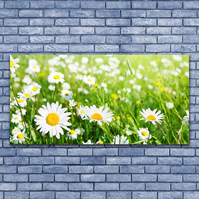 Canvas print Daisy floral white yellow green