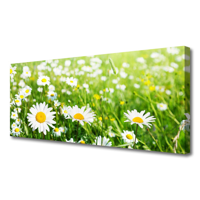 Canvas print Daisy floral white yellow green