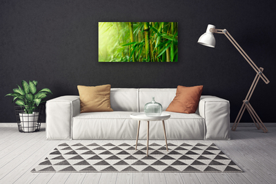 Canvas print Bamboo stalks floral green