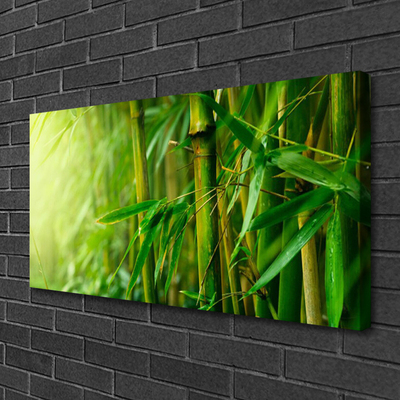 Canvas print Bamboo stalks floral green