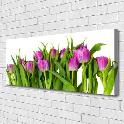 Canvas print Tulips floral pink green