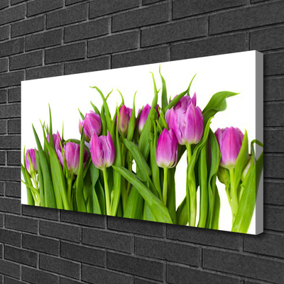 Canvas print Tulips floral pink green