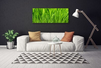 Canvas print Weed floral green