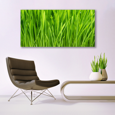 Canvas print Weed floral green