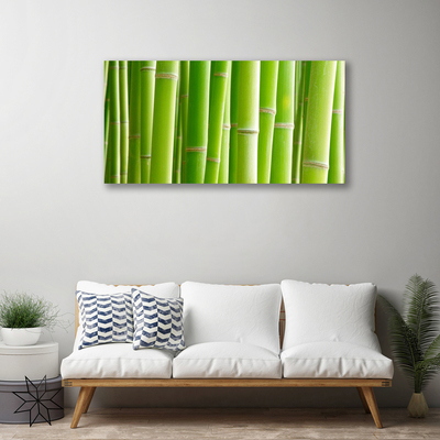 Canvas print Bamboo stalks floral green