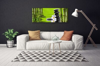 Canvas print Bamboo tube flower stones art green black white