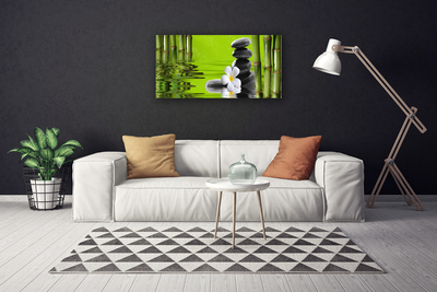 Canvas print Bamboo tube flower stones art green black white