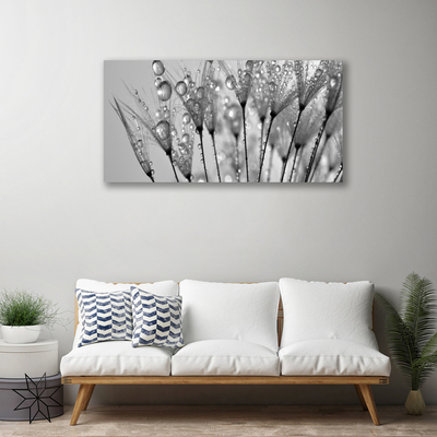 Canvas print Dandelion floral grey