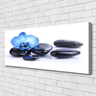 Canvas print Flower stones art blue black