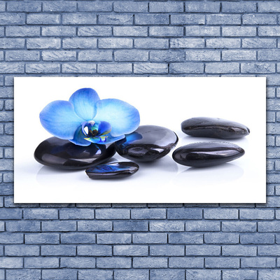 Canvas print Flower stones art blue black