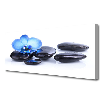 Canvas print Flower stones art blue black