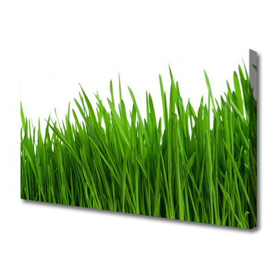 Canvas print Grass floral green