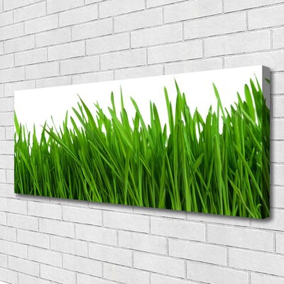 Canvas print Grass floral green