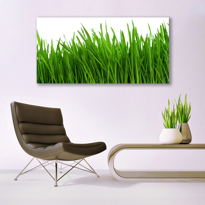 Canvas print Grass floral green