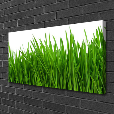 Canvas print Grass floral green