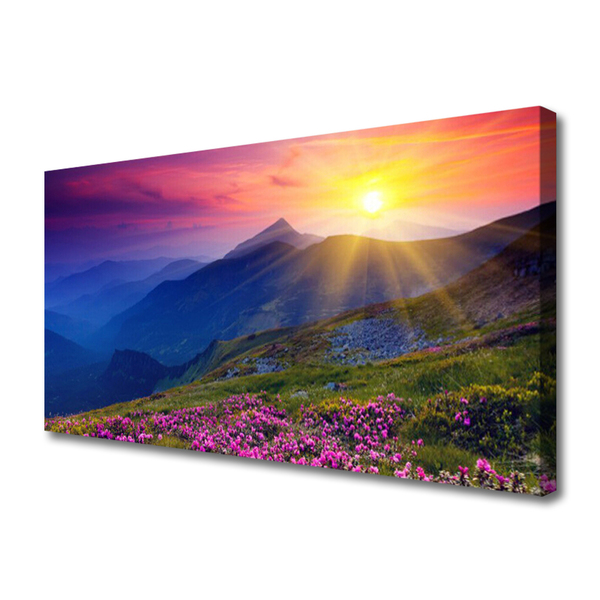 Canvas print Mountains flower meadow landscape blue pink green yellow