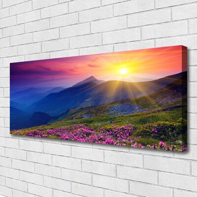 Canvas print Mountains flower meadow landscape blue pink green yellow