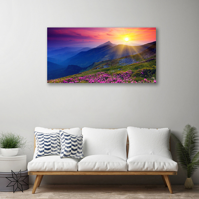 Canvas print Mountains flower meadow landscape blue pink green yellow