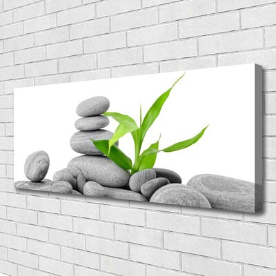 Canvas print Stones leaves art grey green