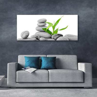 Canvas print Stones leaves art grey green