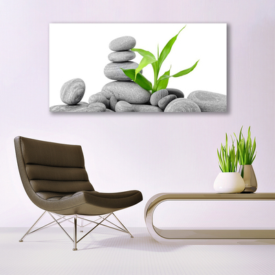 Canvas print Stones leaves art grey green