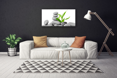 Canvas print Stones leaves art grey green