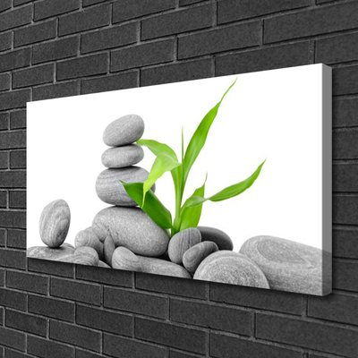 Canvas print Stones leaves art grey green