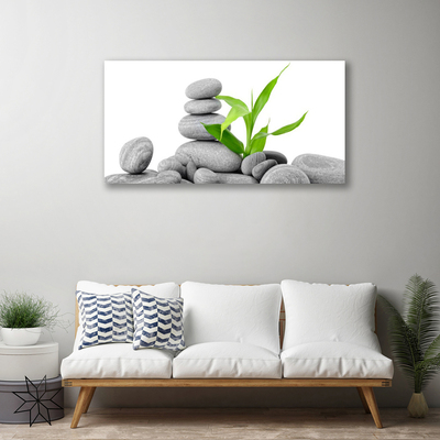 Canvas print Stones leaves art grey green