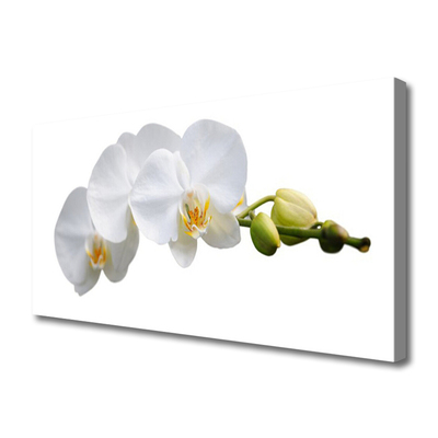 Canvas print Flowers floral white