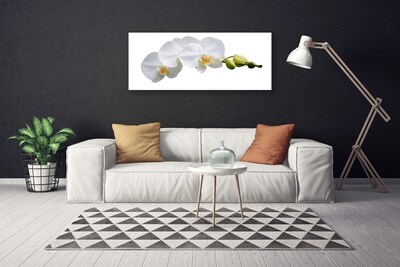 Canvas print Flowers floral white