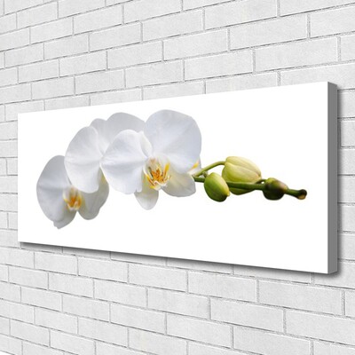 Canvas print Flowers floral white