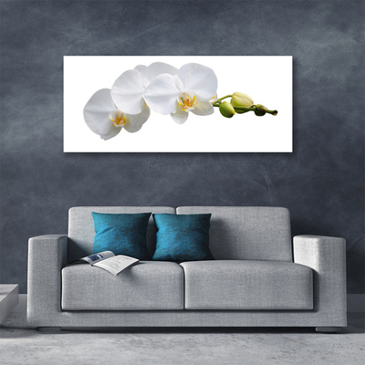 Canvas print Flowers floral white