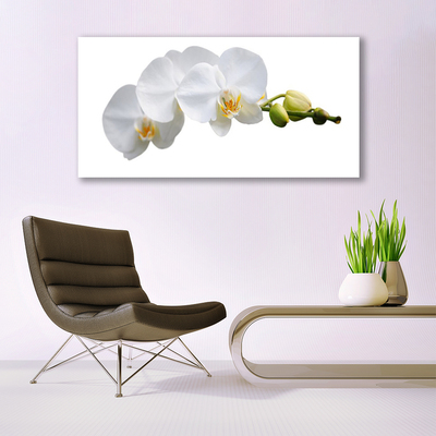 Canvas print Flowers floral white