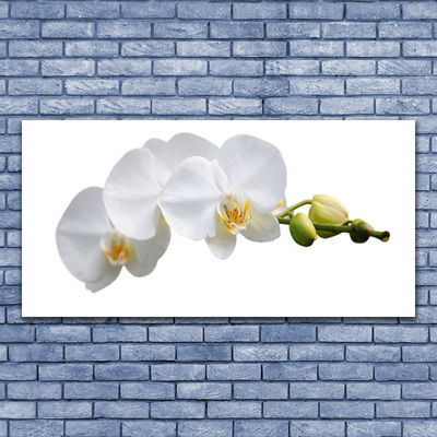 Canvas print Flowers floral white