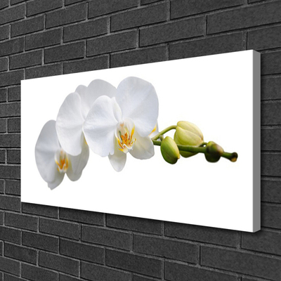 Canvas print Flowers floral white