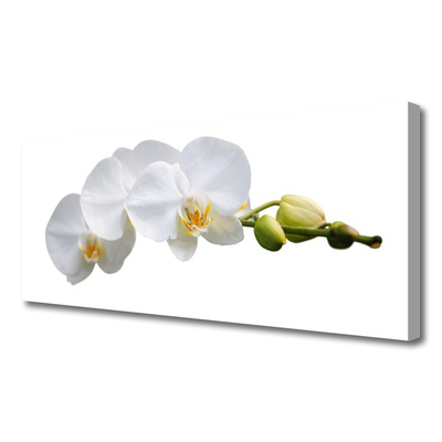 Canvas print Flowers floral white