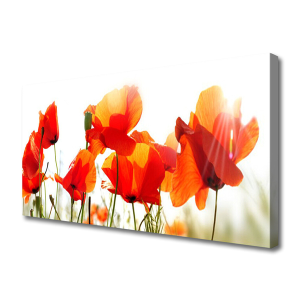 Canvas print Poppies floral red yellow